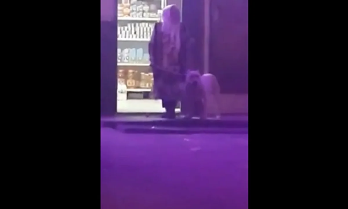 Скриншот видео