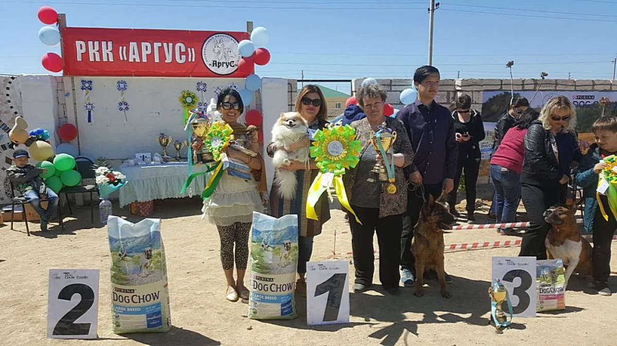 Награждение победителей. Фото предоставлено участниками соревнований