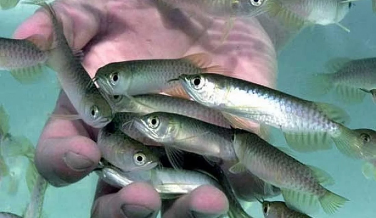 Фото ветеринария.рф