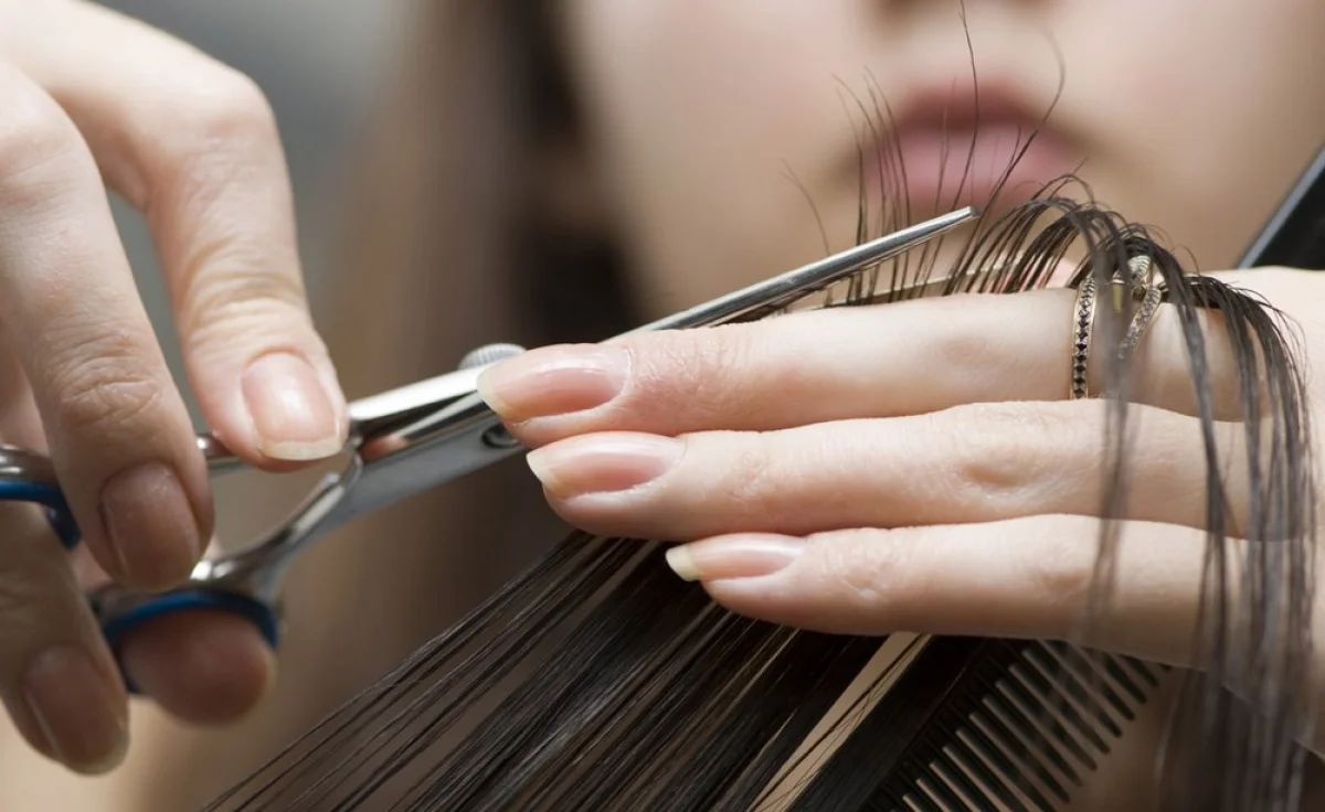 Фото academyekb.ru