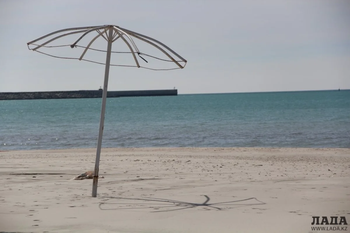 Фото из архива Lada.kz