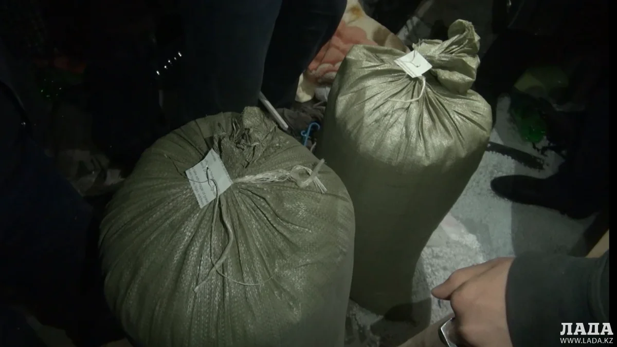 Мешки с марихуаной. Фото пресс-службы ДВД