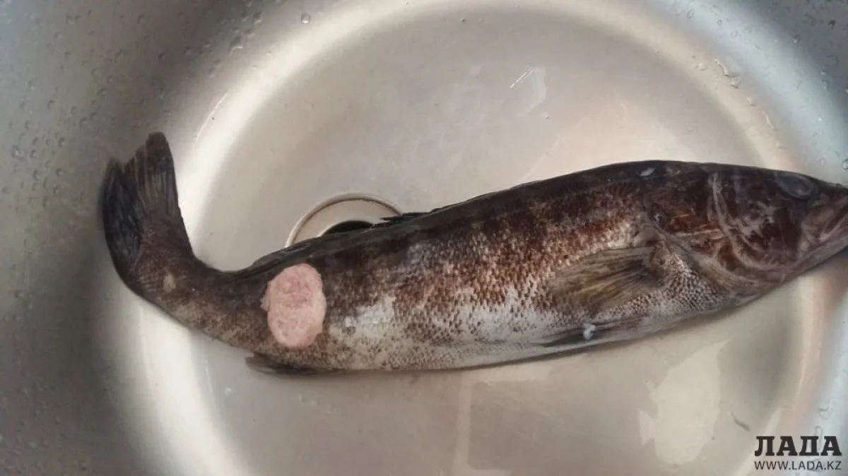 Фото Натальи