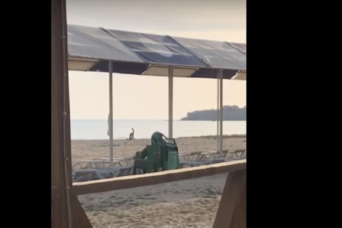 Скриншот видео