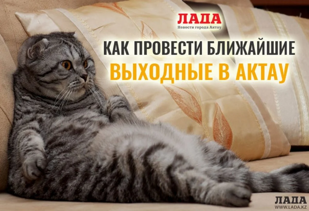 Фото из архива "Лады"