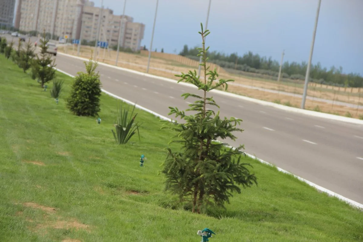 Фото из архива Lada.kz