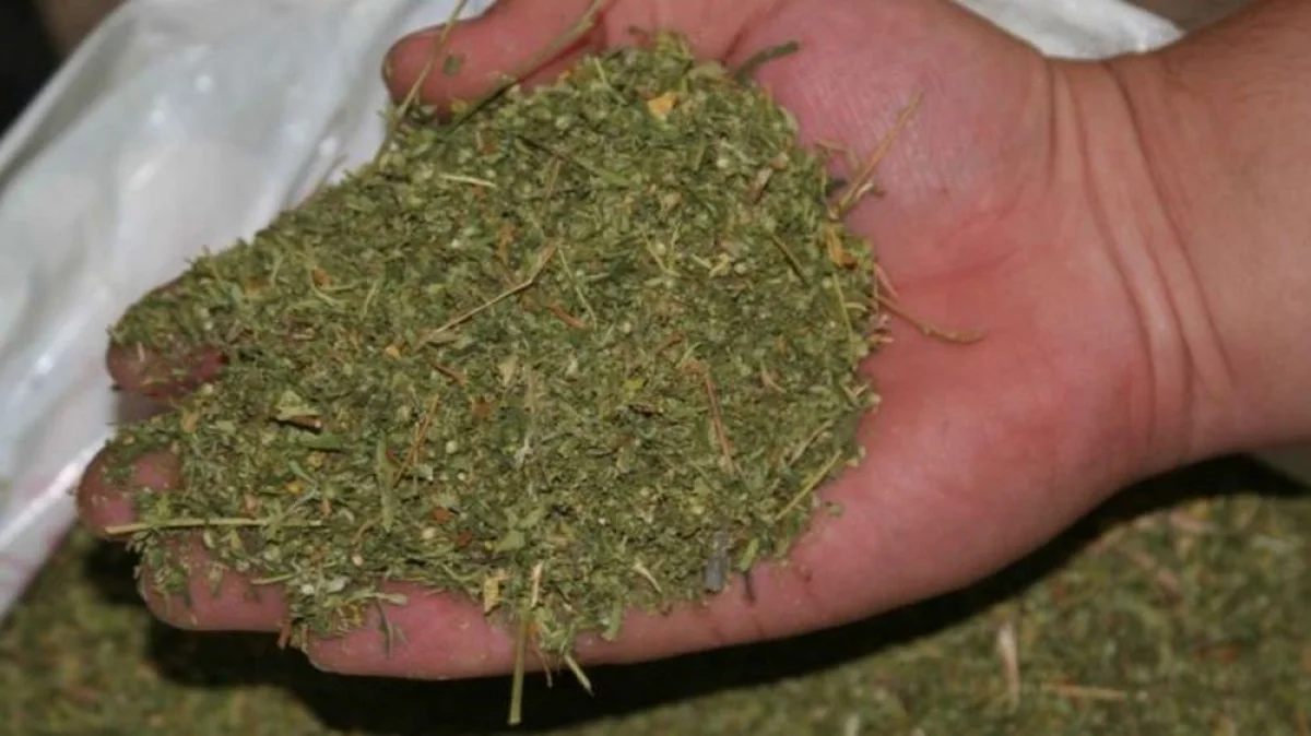 Фото kazpravda.kz