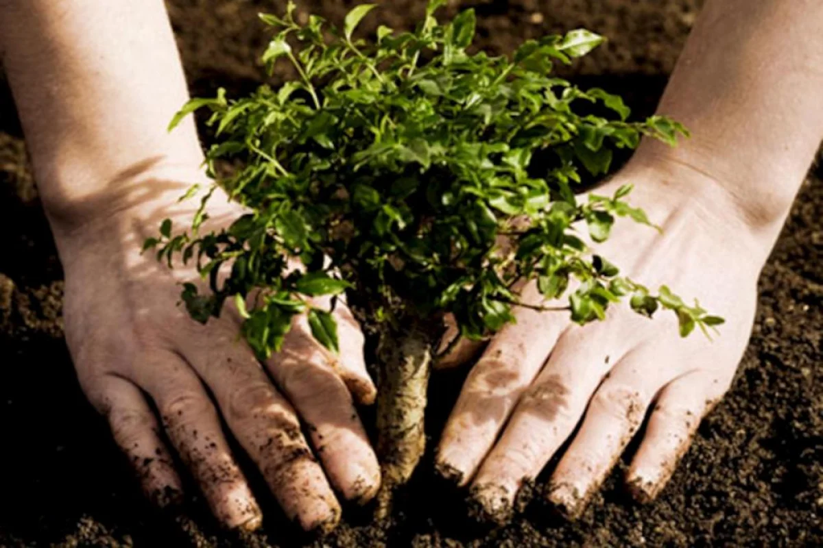 Иллюстративное фото с сайта rusunion.com