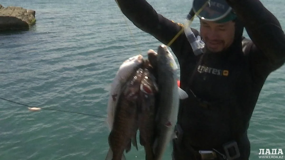 Чемпионат по подводной охоте