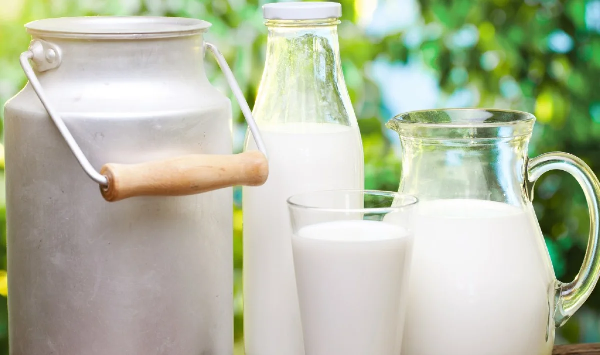 Фото с сайта povartut.ru