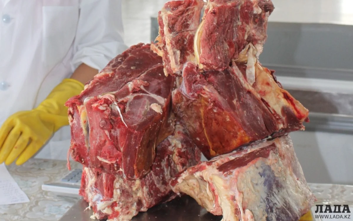 _фото автора из архива Lada.kz