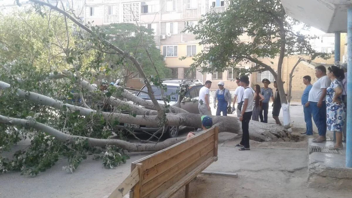 Фото очевидцев