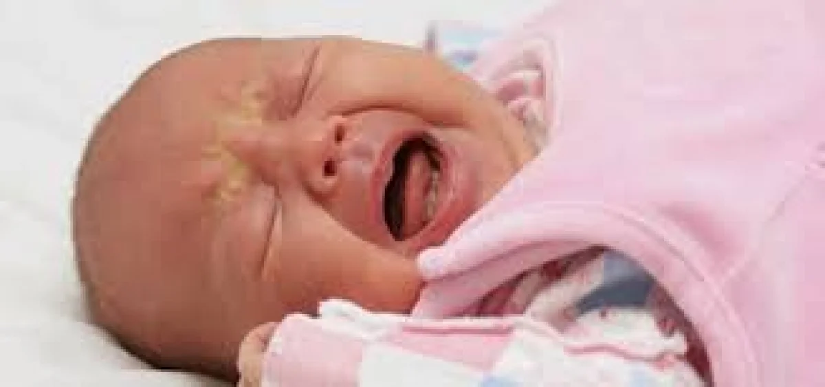 Иллюстративное фото