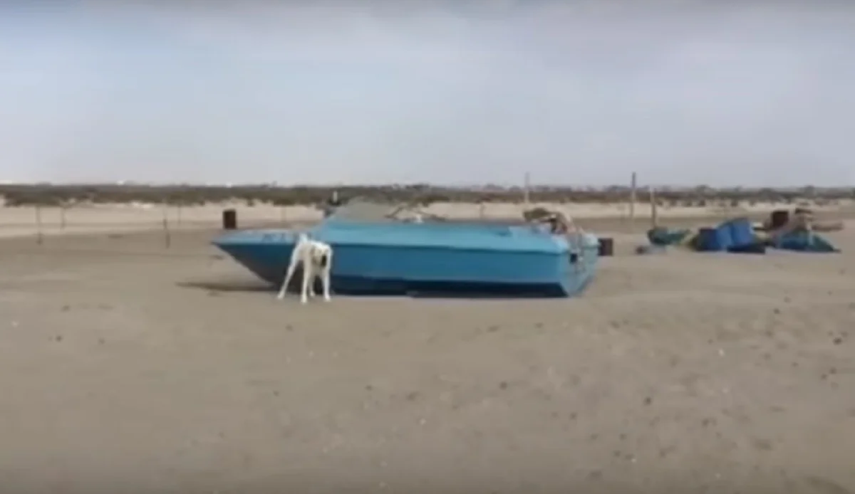 Скриншот видео