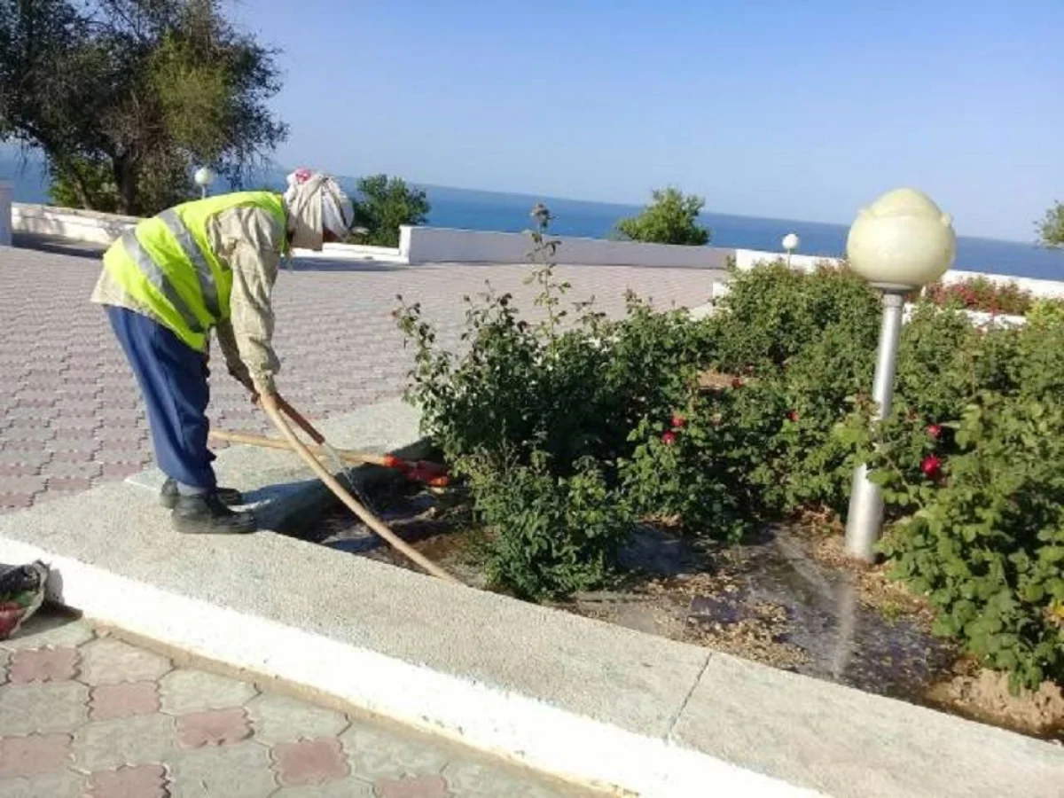 Фото предоставил Абай Кожабаев