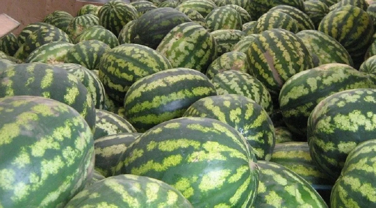 Фото из архива Lada.kz