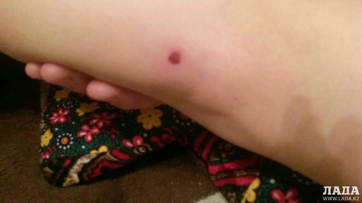 Фото из архива Lada.kz