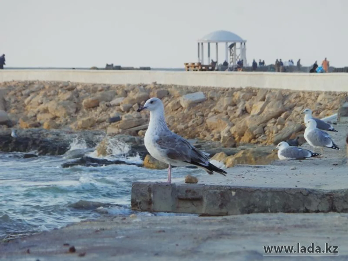 Фото из архива Lada.kz