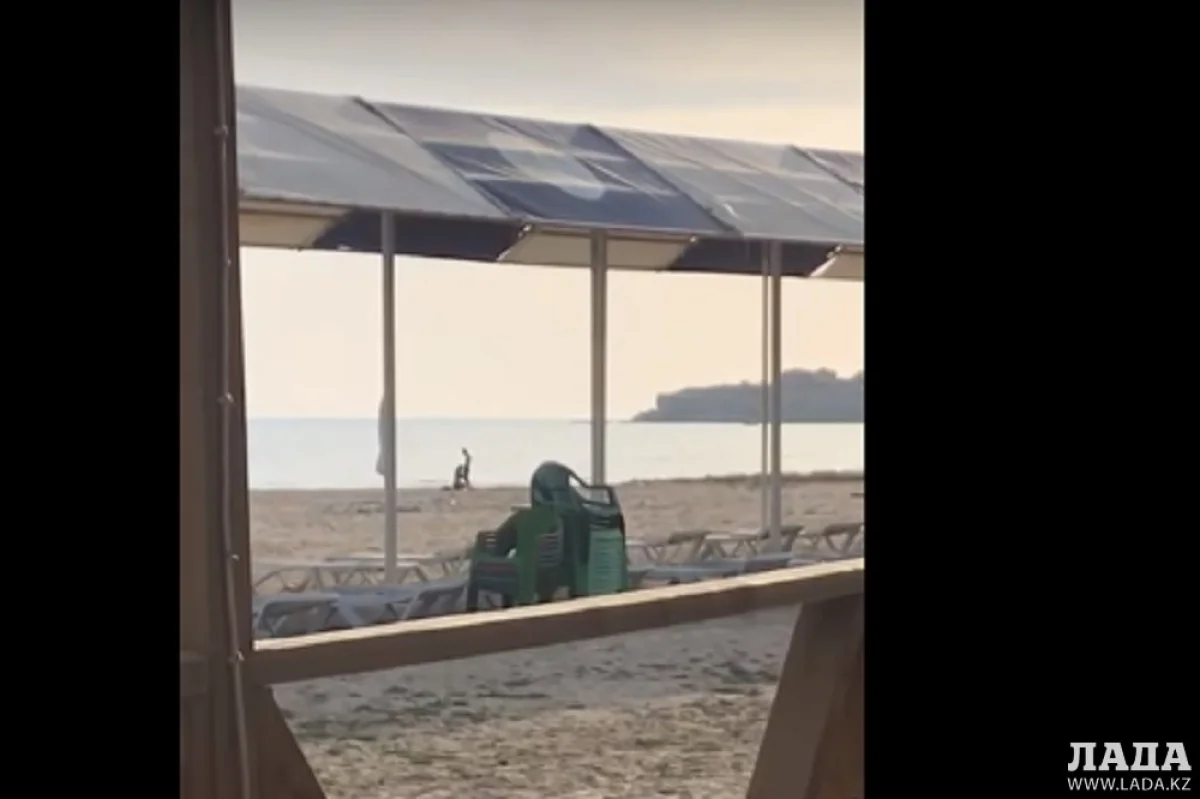 Скрин видео.