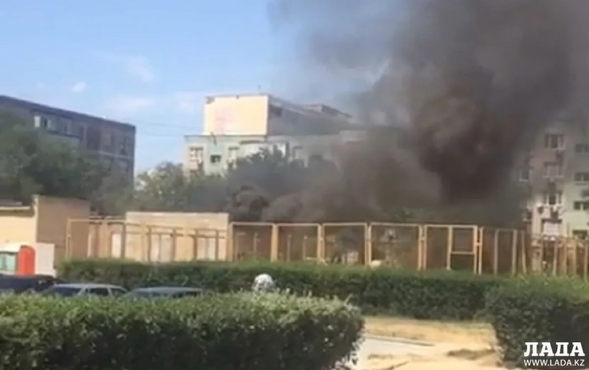 Скрин видео