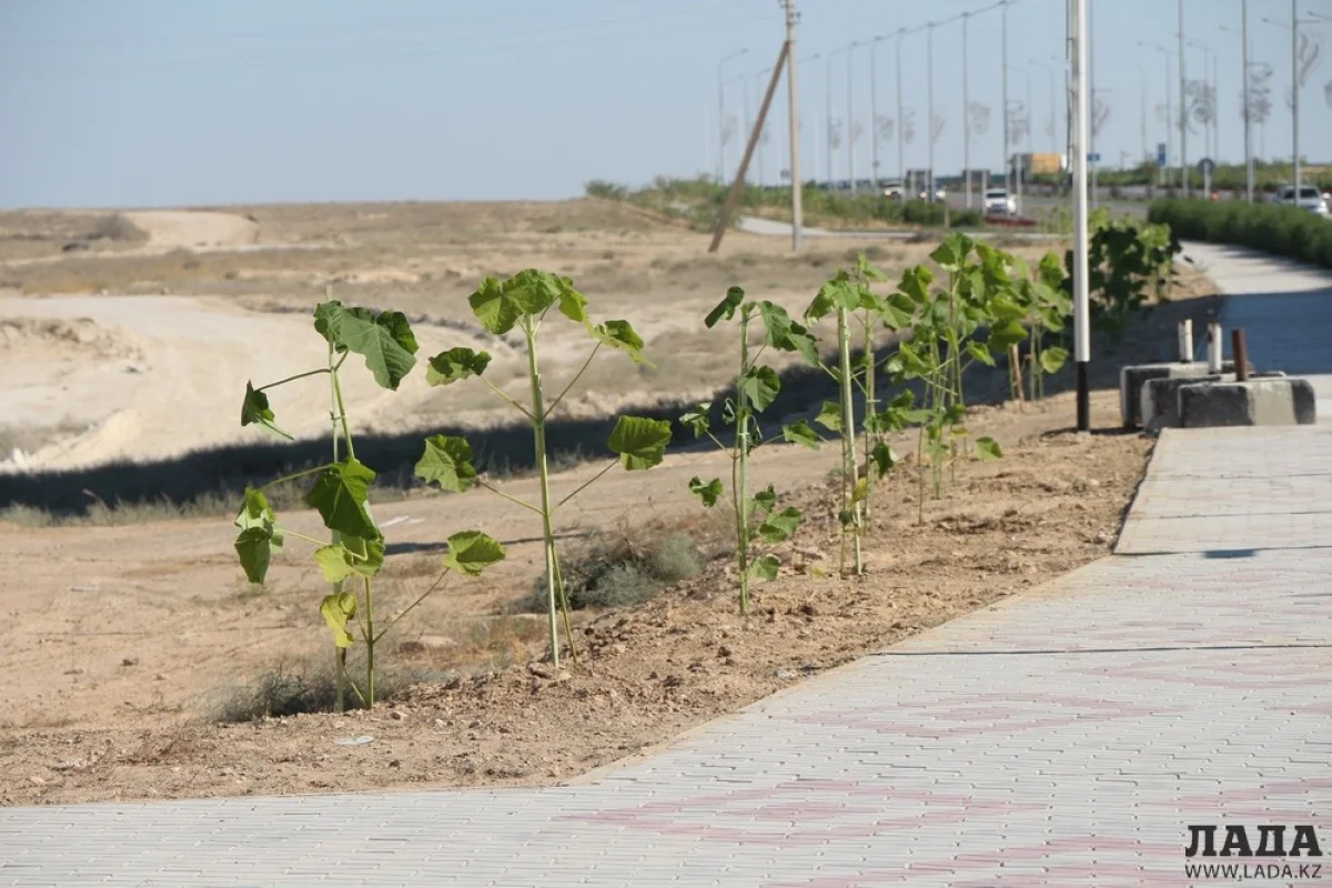 Фото Рашида Исмагилова