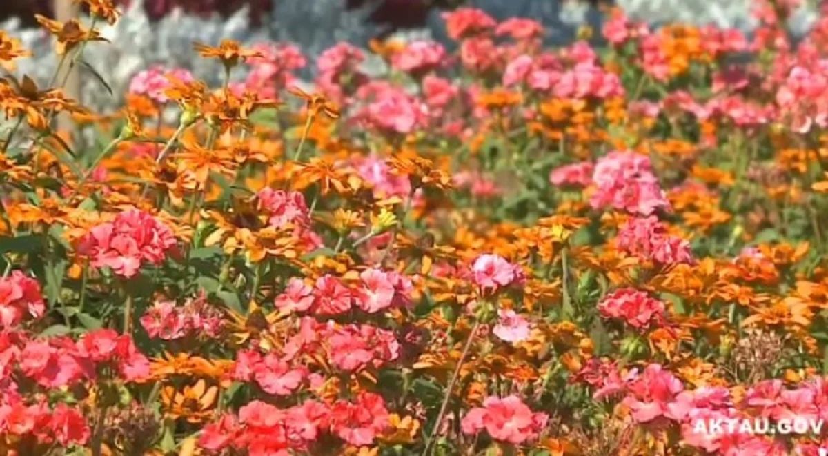 Иллюстративное фото