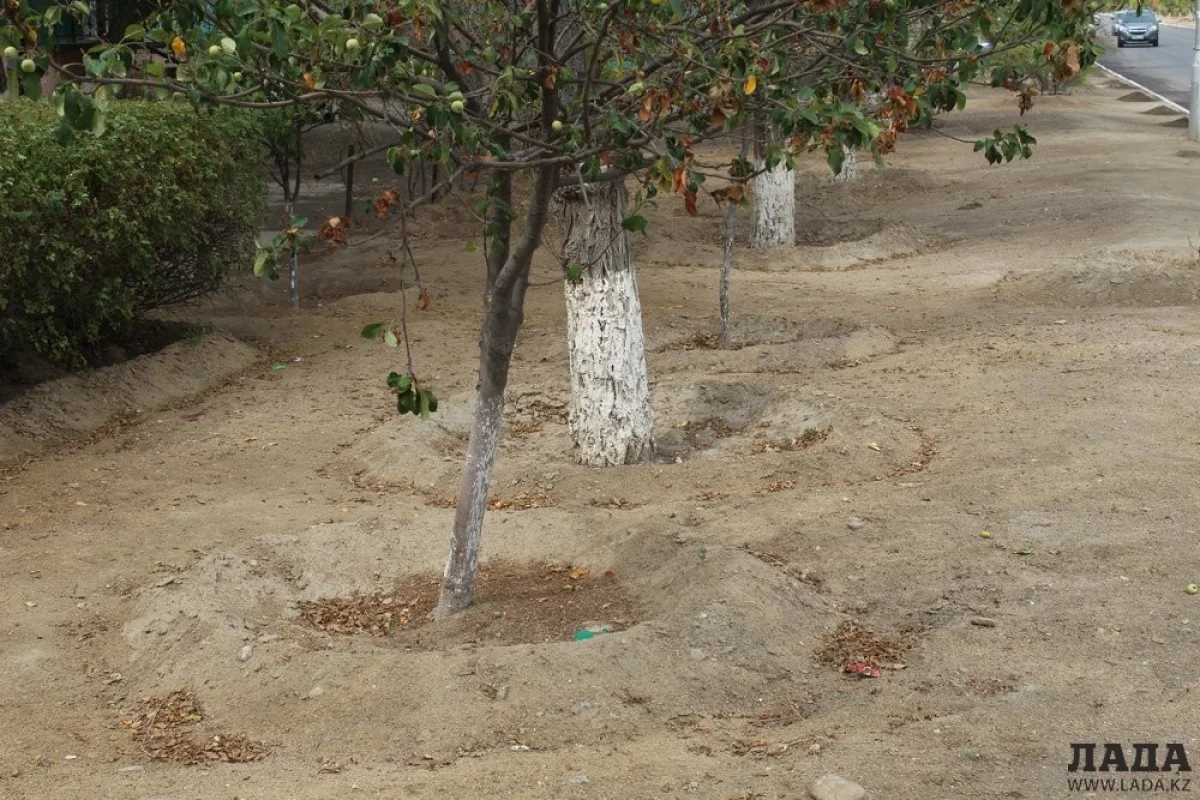 Фото из архива «Лады»