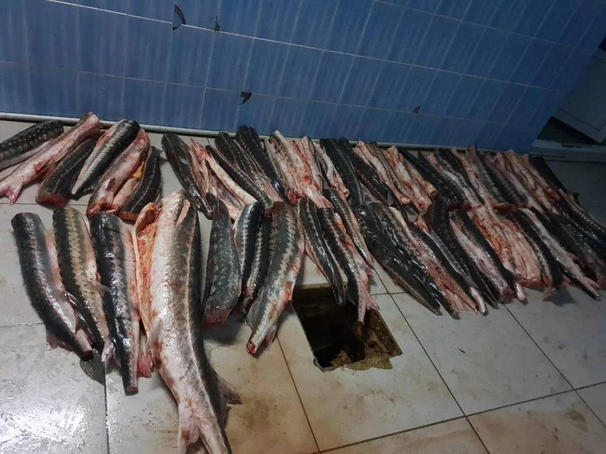 Фото пресс-службы ДВД Мангистау