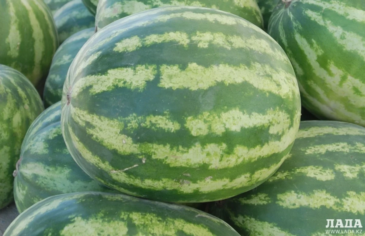 _фото автора из архива Lada.kz