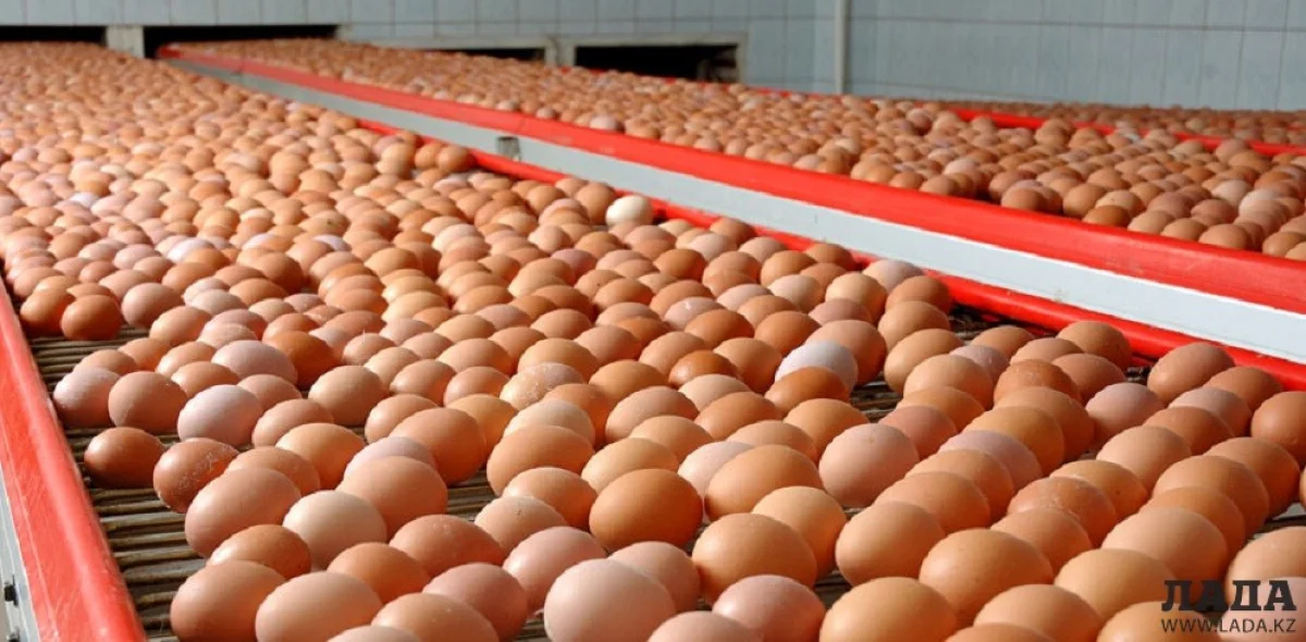 Иллюстративное фото с сайта altai-news.ru