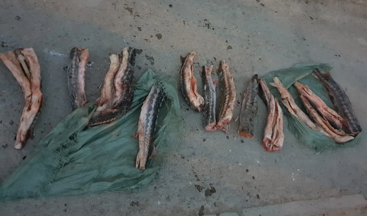 Фото из архива Lada.kz