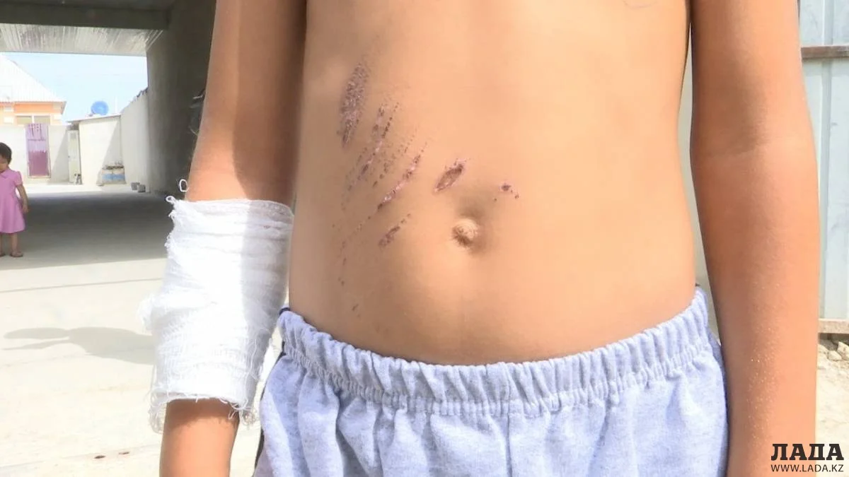 Фото Рашида Исмагилова