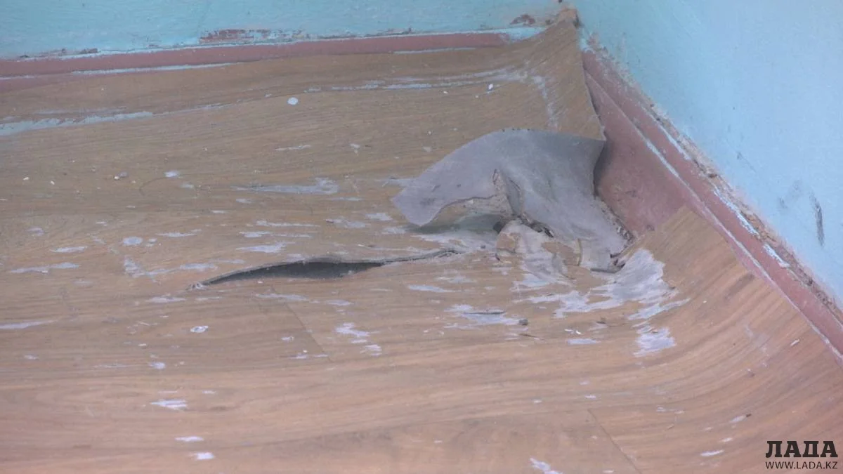 Фото Рашида Исмагилова