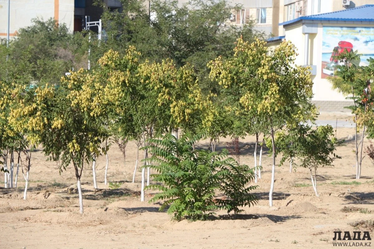 Фото из архива Lada.kz