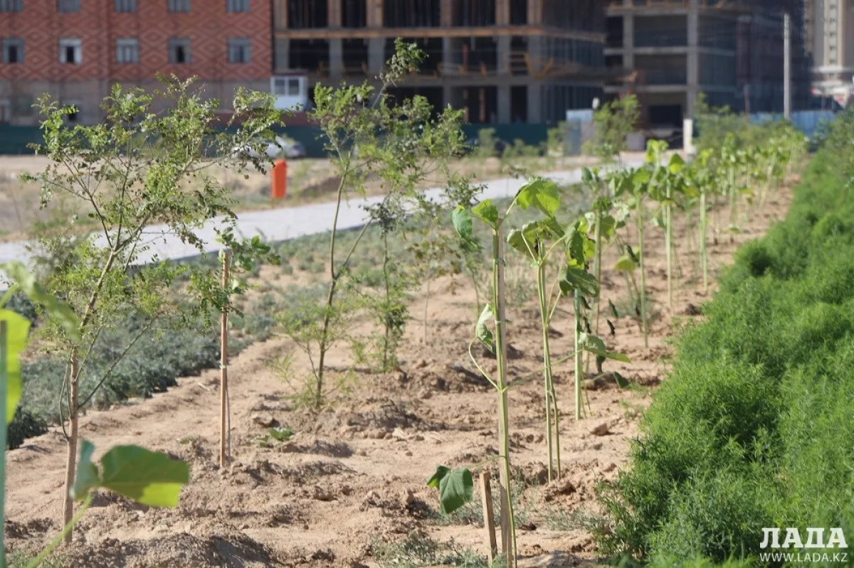 Фото из архива Lada.kz