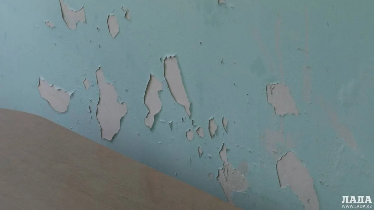 Стены в инфекционной больнице