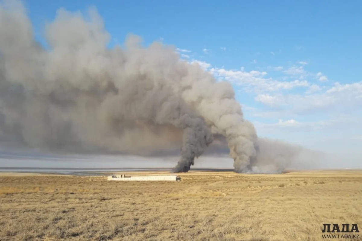 Фото пресс-службы ДЧС