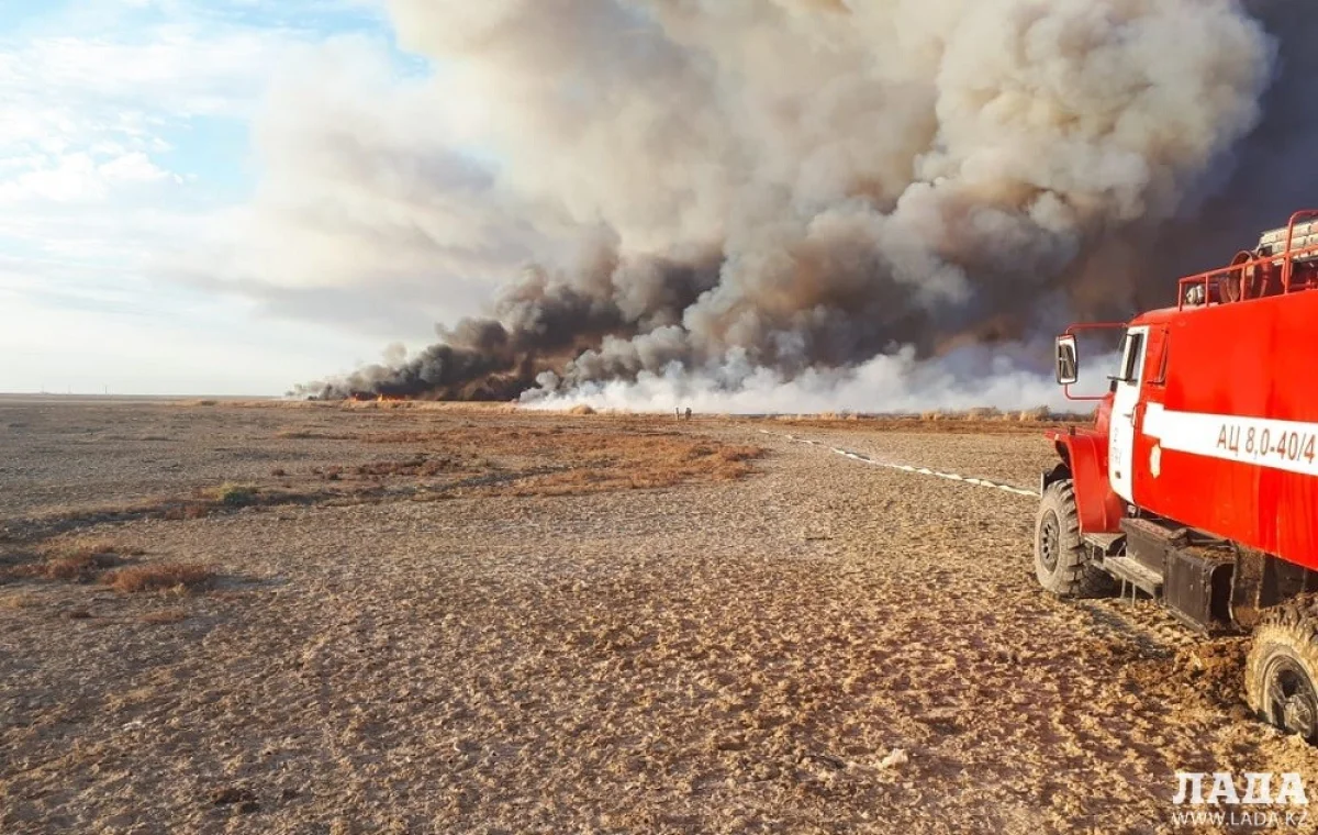 Фото пользователей