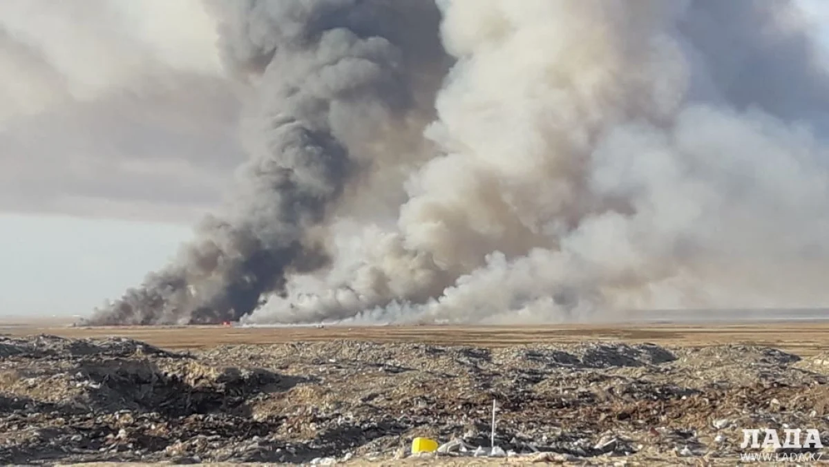 Пожар в степи. Фото очевидца