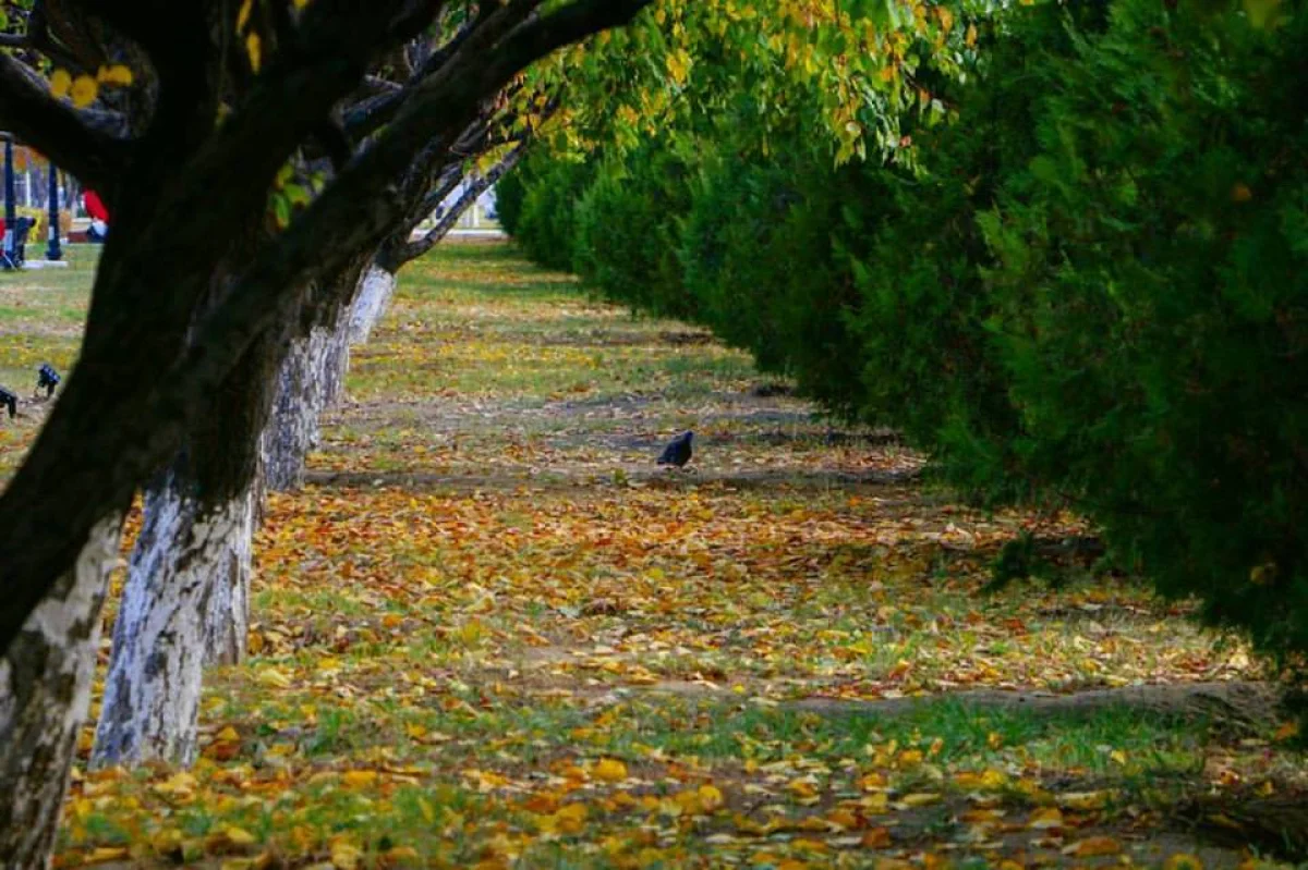 Фото Куана Исмаилова