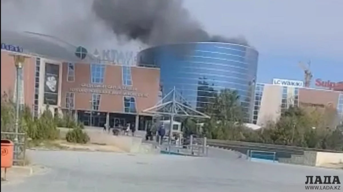 Скриншот видеоматериала