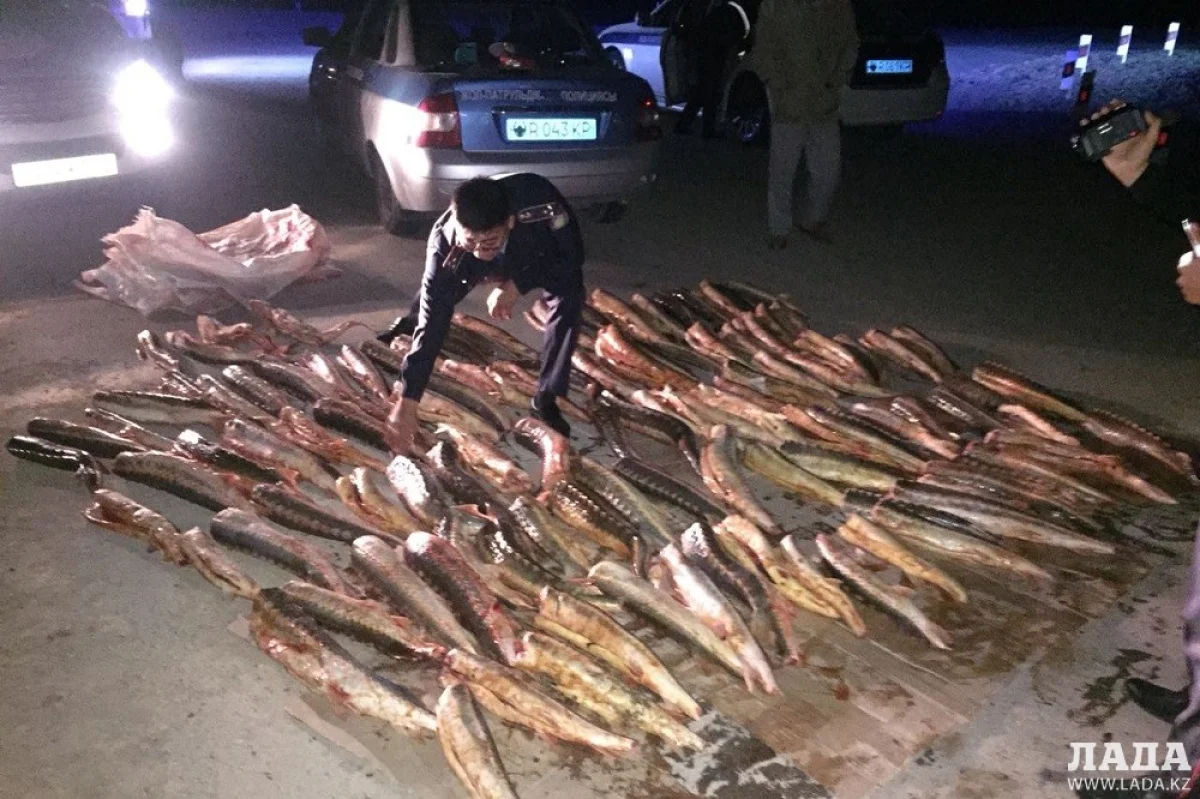 Фото пресс-службы ДВД Мангистауской области