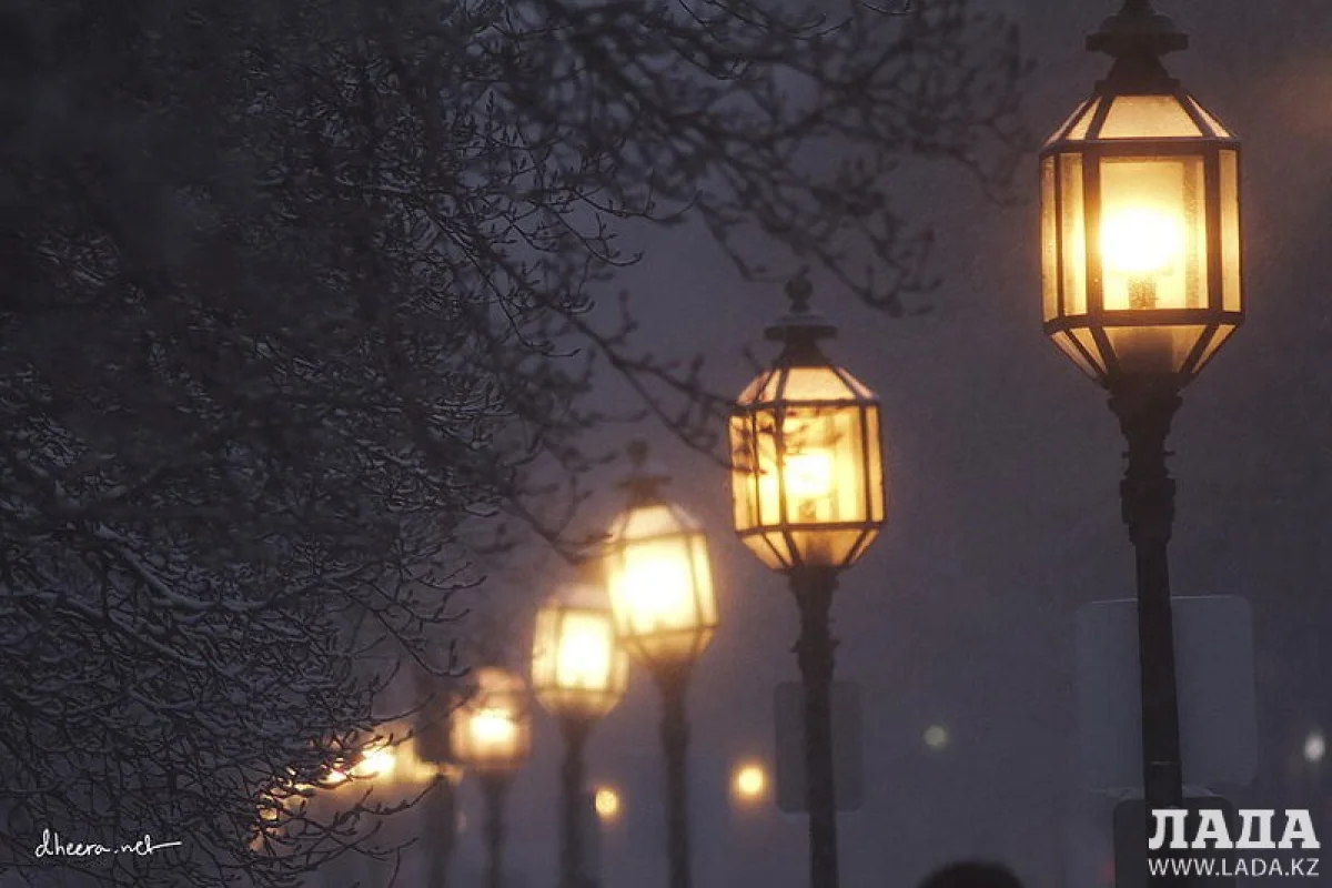 фото из сети интернет