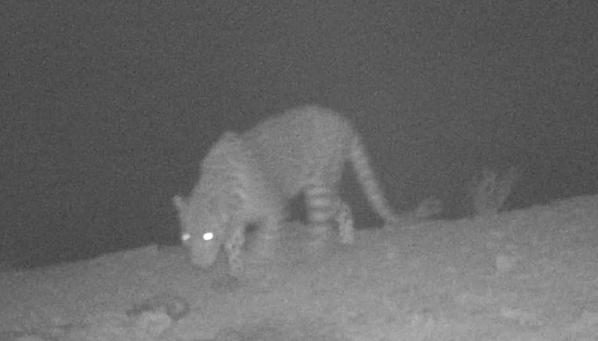 Фото со страницы Актана Мухашова в Facebook