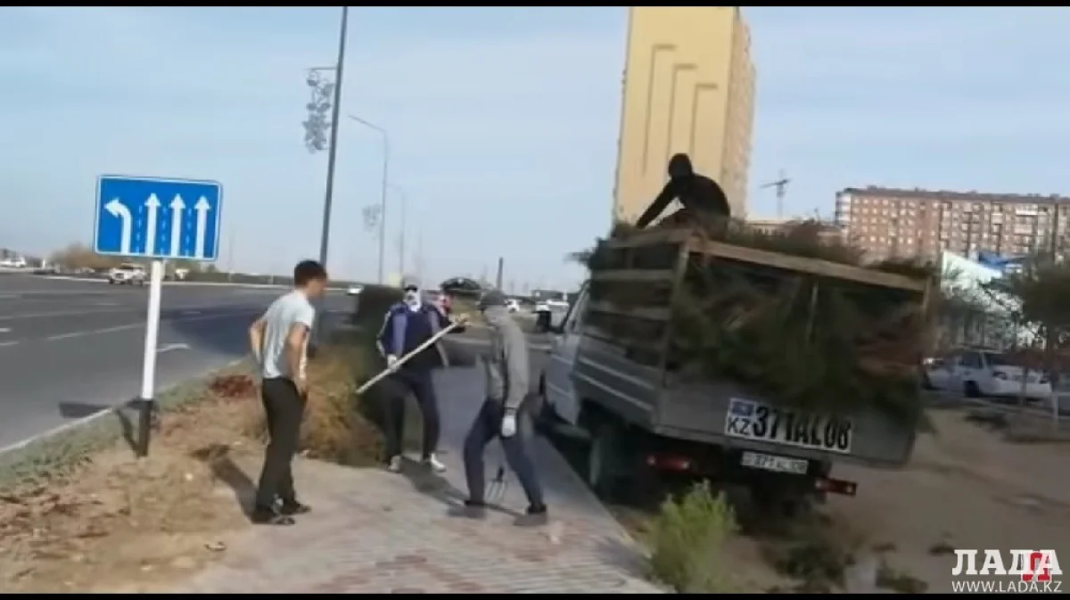 Скриншот из видеоматериала