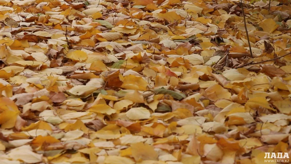 Фото Рашида Исмагилова