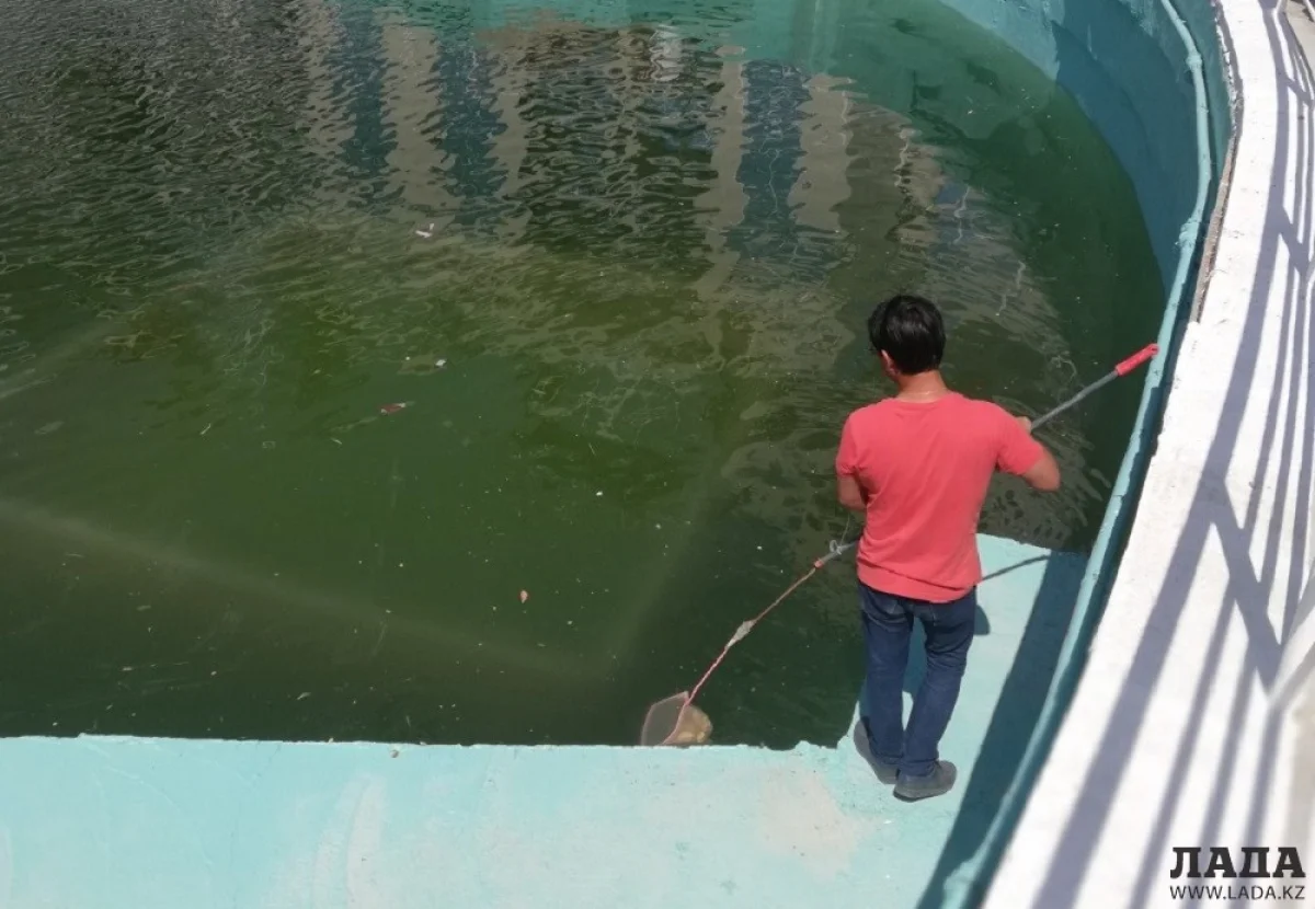 Фото администрации отеля Caspian Riviera