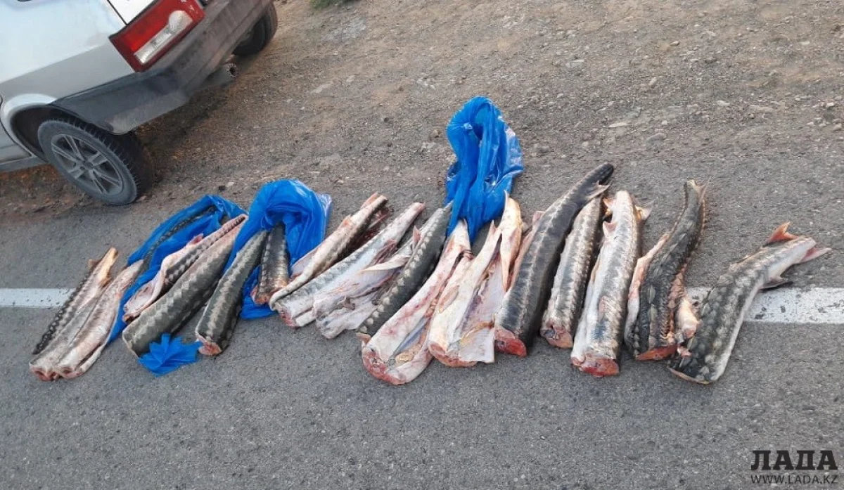 Фото из архива Lada.kz