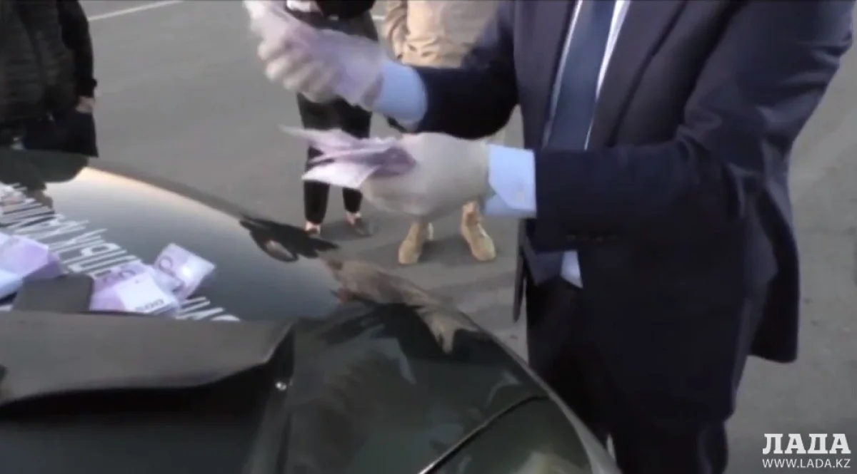 Скриншот из видеоматериала