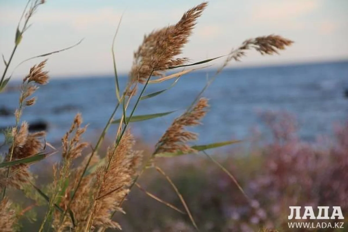 Фото из архива &quot;Лады&quot;